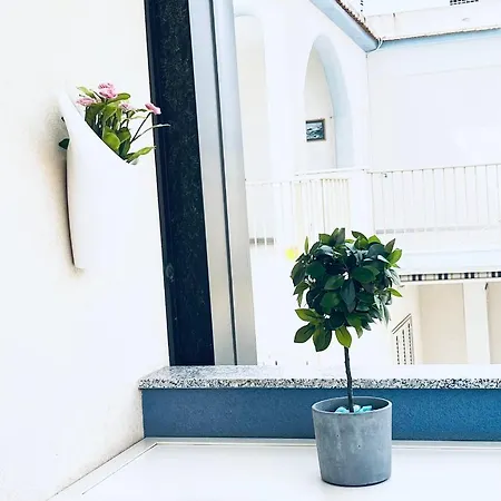 Appartement L'ancora & Il Timone